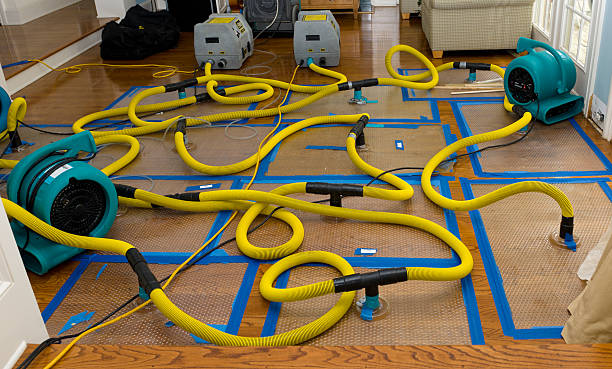 Professional Water Extraction technician working in DeWitt, IA